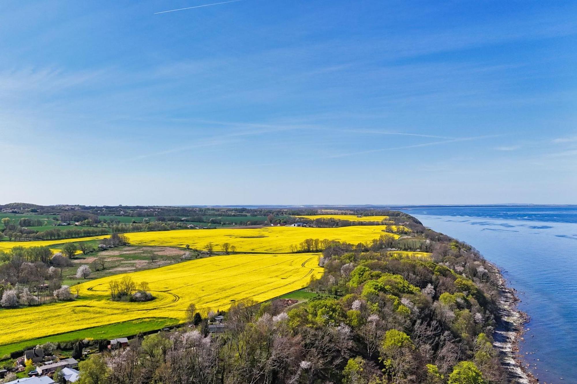 Ferienwohnung Mit Traumhaftem Meerblick - Haus Am Meer Fewo 11 Lohme Exteriör bild